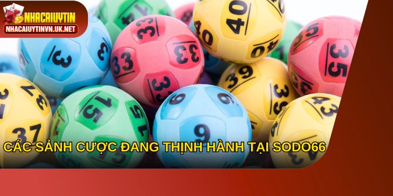 Các sảnh cược đang thịnh hành tại SODO66