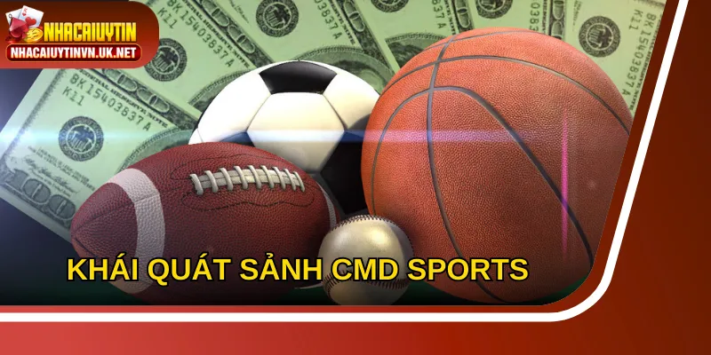 CMD thể thao tạo dấu ấn mạnh mẽ trên thị trường