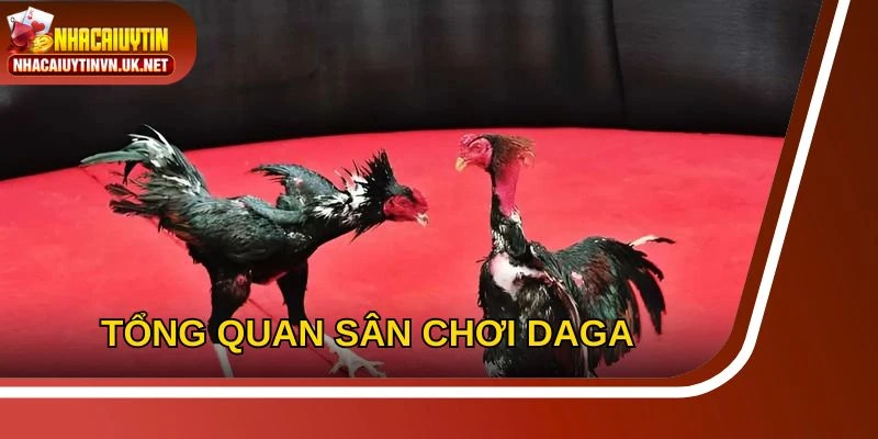 DAGA là một trong những thương hiệu cá cược uy tín hiện nay
