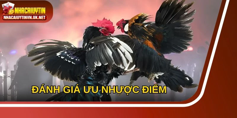 Một số điểm đánh giá khách quan từ người trải nghiệm