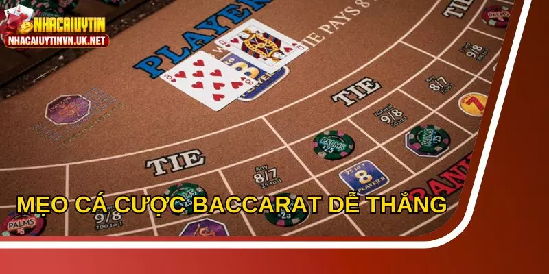 Kinh nghiệm cá cược Baccarat giúp tăng cơ hội thắng lớn từ chuyên gia
