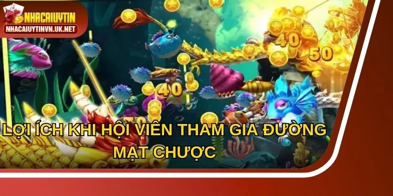 Lợi ích hội viên nhận được khi tham gia gameplay